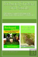 Backyard Chickens And Quails