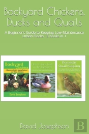Backyard Chickens, Ducks And Quails