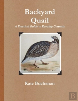 Bertrand.pt - Backyard Quail