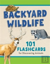 Backyard Wildlife