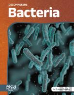 Bacteria