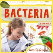 Bacteria