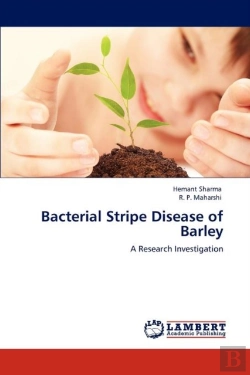 Bertrand.pt - Bacterial Stripe Disease Of Barley