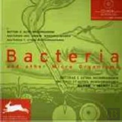 Bertrand.pt - Bactérias e Outros