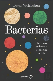 Bacterias