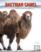 Bactrian Camel