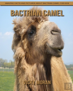 Bertrand.pt - Bactrian Camel
