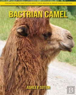 Bertrand.pt - Bactrian Camel