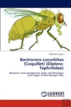 Bertrand.pt - Bactrocera Cucurbitae  Coquillet   Dipte