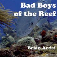 Bad Boys Of The Reef