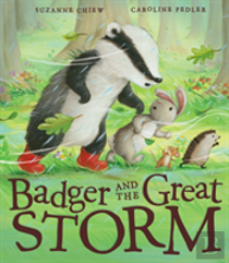 Badger And The Great Storm