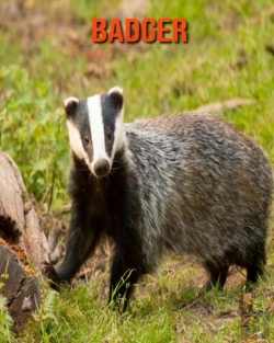 Bertrand.pt - Badger