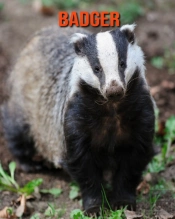 Badger