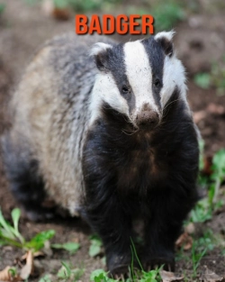 Bertrand.pt - Badger