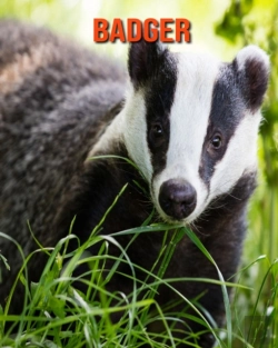 Bertrand.pt - Badger