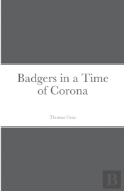 Badgers In A Time Of Corona