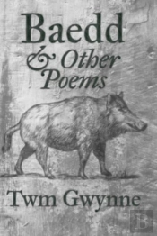 Baedd And Other Poems