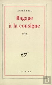 Bagage A La Consigne