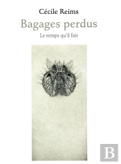Bagages Perdus