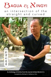 Bagua And Xingyi