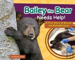 Bertrand.pt - Bailey The Bear Needs Help!