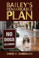 Bailey'S Remarkable Plan