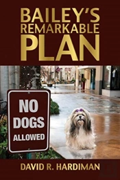 Bailey'S Remarkable Plan