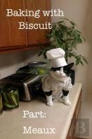 Baking With Biscuit Part