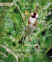Balade Au Pays Du Vivant