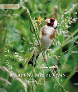 Bertrand.pt - Balade Au Pays Du Vivant