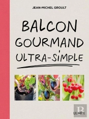 Balcon Gourmand Ultra-Simple