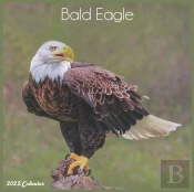 Bald Eagle 2022 Calendar