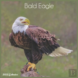 Bertrand.pt - Bald Eagle 2022 Calendar