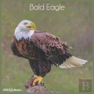 Bald Eagle 2022 Calendar