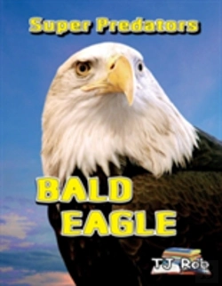 Bertrand.pt - Bald Eagle
