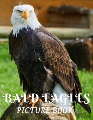 Bald Eagles Picture Book