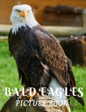 Bald Eagles Picture Book