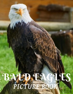 Bertrand.pt - Bald Eagles Picture Book