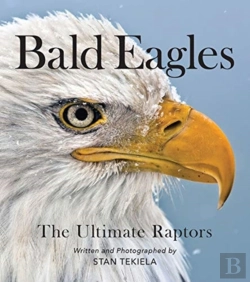 Bertrand.pt - Bald Eagles