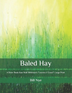 Bertrand.pt - Baled Hay
