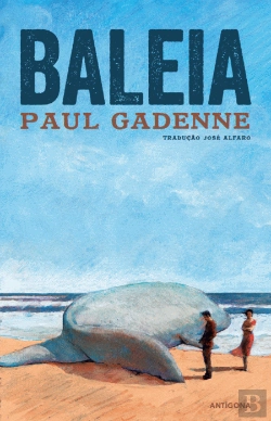 Bertrand.pt - Baleia
