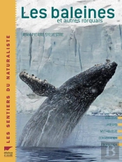 Baleines Et Autres Rorquals