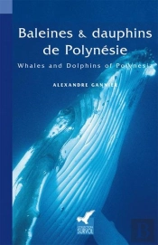 Baleines Et Dauphins De Polynesie