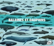 Baleines Et Dauphins ; Histoire Naturelle Et Guide Des Espèces