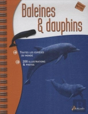Baleines Et Dauphins ; Toutes Les Espèces Du Monde, 200 Illustrations & Photos
