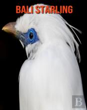 Bali Starling