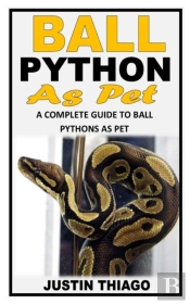 Ball Python As Pet