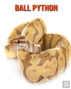 Bertrand.pt - Ball Python