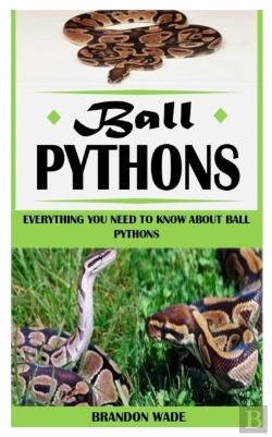 Bertrand.pt - Ball Pythons