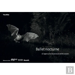 Bertrand.pt - Ballet Nocturne